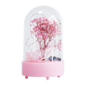 Dry Gypsophila Conserved Fresh Flower Με Ακρυλικό Περίβλημα Ως Στολίδι Δώρου Για Την Ημέρα Του Αγίου Βαλεντίνου
