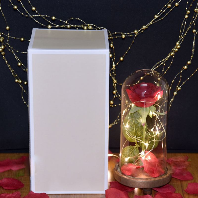 Φωτιστικό Κόκκινο Τριαντάφυλλο Με Φώτα Led Fairy String Πεσμένα Πέταλα Και Βάση Abs Σε Γυάλινο Θόλο Για Την Ημέρα Του Αγίου Βαλεντίνου Το Καλύτερο Δώρο Για Εκείνη