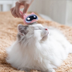 Pet Comb Hair Cat Care Βούρτσα Μπάνιου Cat Dog Universal