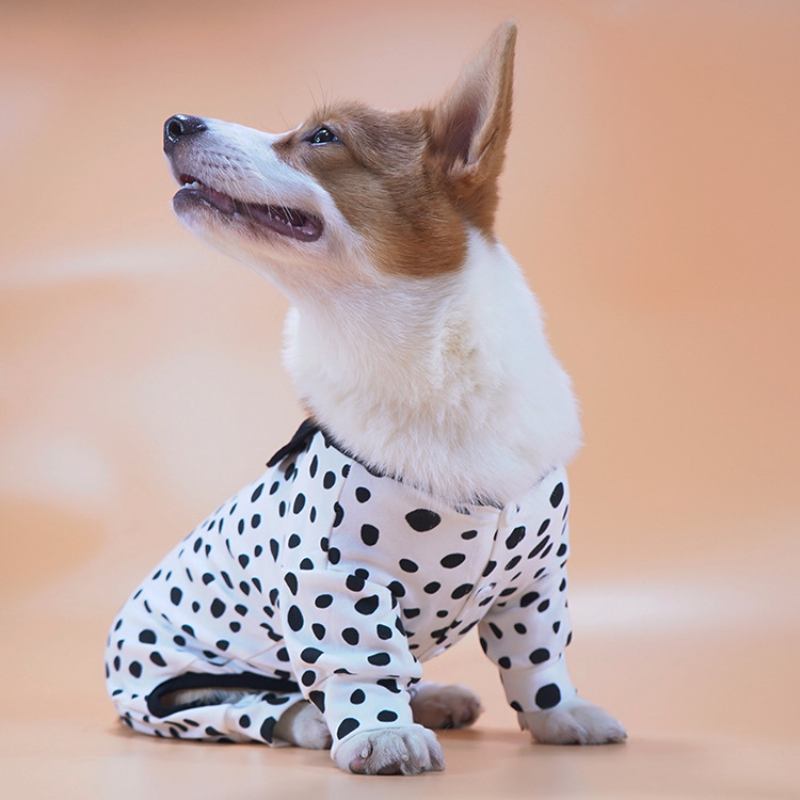 Πιτζάμες Stretch Cute Pet Για Μικρά Και Μεσαίου Μεγέθους Σκυλιά Ρούχα Σπιτιού All-inclusive Αντιτριχικά Corgi