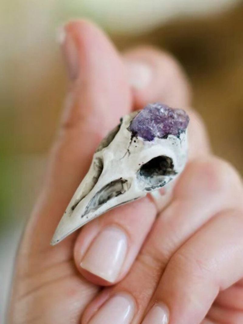 Δώρο Κοσμήματος Vintage Amethyst Skeleton Women Ring Bird Skull Ανδρικό Δαχτυλίδι Κοσμήματα