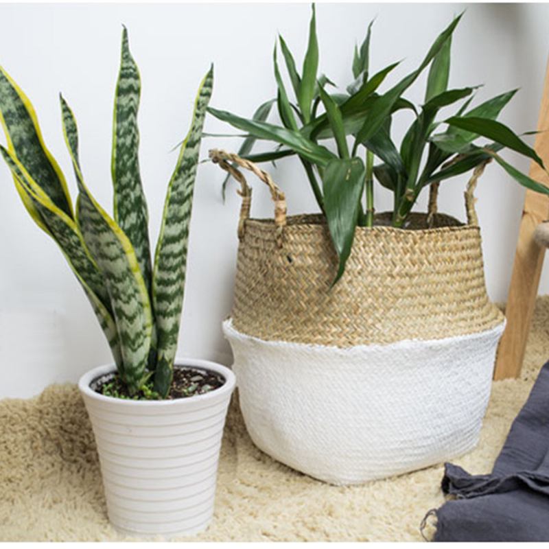 Seagrass Belly Storage Basket Shopping Bag Box Organizer Plant Pot